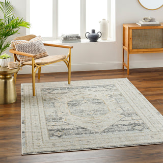 Surya Bitlis BSI-2300 Area Rug Room Scene Feature