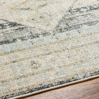 Surya Bitlis BSI-2300 Area Rug Detail