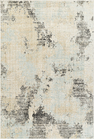 Surya Bitlis BSI-2301 Area Rug main image