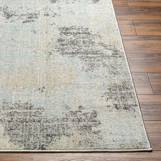 Surya Bitlis BSI-2301 Area Rug Angle