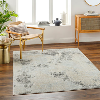 Surya Bitlis BSI-2301 Area Rug Room Scene Feature