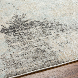 Surya Bitlis BSI-2301 Area Rug Detail