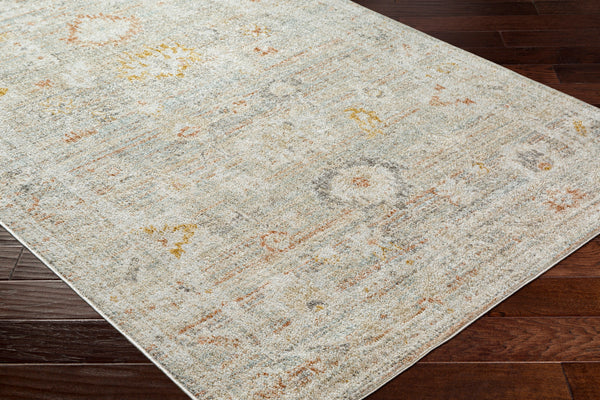 LIVABLISS Bitlis BSI-2302 Area Rug – Incredible Rugs and Decor