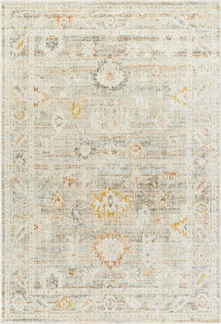 Surya Bitlis BSI-2302 Area Rug main image