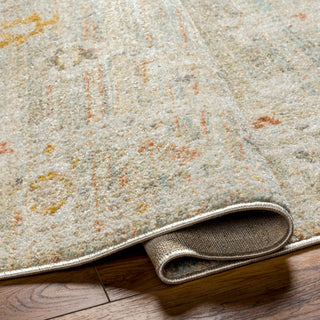 Surya Bitlis BSI-2302 Area Rug Pile