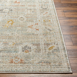 Surya Bitlis BSI-2302 Area Rug Angle