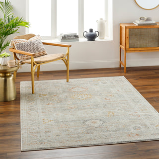 Surya Bitlis BSI-2302 Area Rug Room Scene Feature