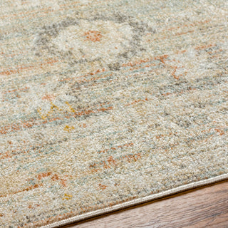 Surya Bitlis BSI-2302 Area Rug Detail