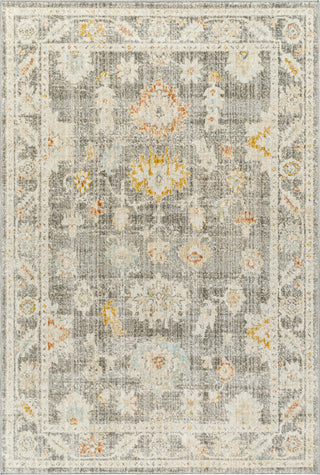 Surya Bitlis BSI-2303 Area Rug main image