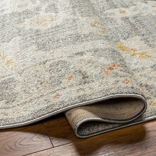 Surya Bitlis BSI-2303 Area Rug Pile