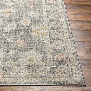 Surya Bitlis BSI-2303 Area Rug Angle