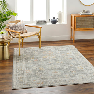 Surya Bitlis BSI-2303 Area Rug Room Scene Feature