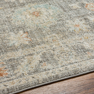 Surya Bitlis BSI-2303 Area Rug Detail