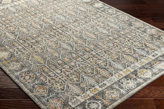 Surya Bitlis BSI-2304 Area Rug Corner Shot