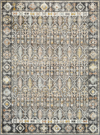 Surya Bitlis BSI-2304 Area Rug main image