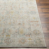 Surya Bitlis BSI-2305 Area Rug Angle