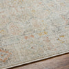 Surya Bitlis BSI-2305 Area Rug Detail