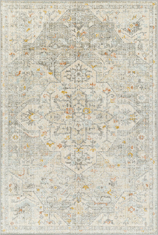 Surya Bitlis BSI-2306 Area Rug main image