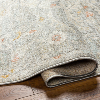 Surya Bitlis BSI-2306 Area Rug Pile