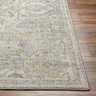 Surya Bitlis BSI-2306 Area Rug Angle