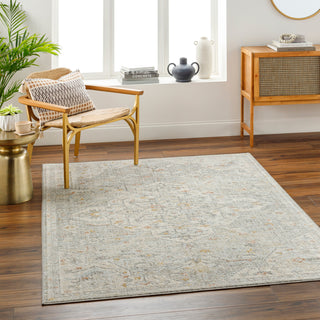 Surya Bitlis BSI-2306 Area Rug Room Scene Feature