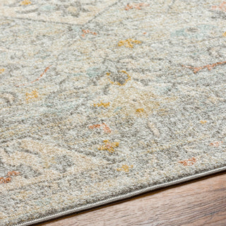 Surya Bitlis BSI-2306 Area Rug Detail