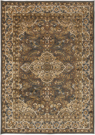 Surya Basilica BSL-7202 Chocolate Area Rug 5'2'' x 7'6''