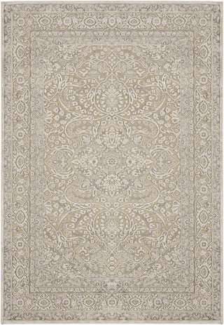 Surya Basilica BSL-7203 Beige Area Rug 5'2'' x 7'6''