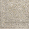 Surya Basilica BSL-7203 Beige Machine Loomed Area Rug Sample Swatch