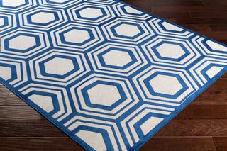 Surya Basilica BSL-7219 Area Rug Corner Image