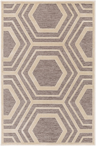 Surya Basilica BSL-7220 Brown/Neutral Area Rug main image