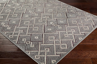 Surya Basilica BSL-7229 Area Rug Corner Image Feature