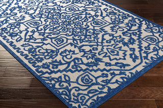 Surya Big Sur BSR-2301 Area Rug  Feature