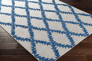 Surya Big Sur BSR-2303 Area Rug  Feature