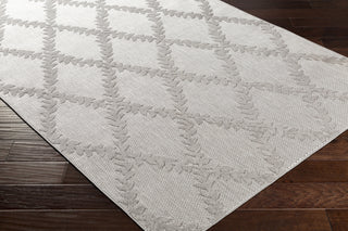 Surya Big Sur BSR-2304 Area Rug  Feature