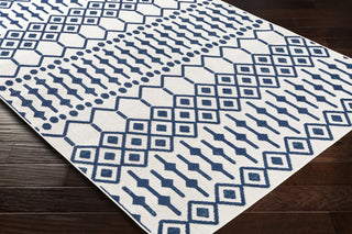 Surya Big Sur BSR-2308 Area Rug  Feature