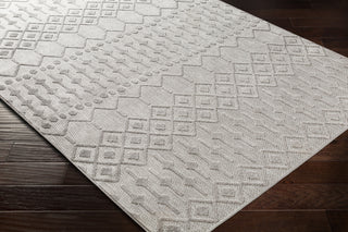 Surya Big Sur BSR-2309 Area Rug  Feature