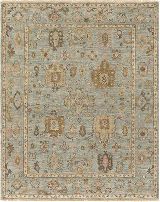 Surya Biscayne BSY-2305 Area Rug