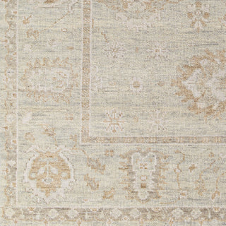 Surya Biscayne BSY-2313 Area Rug Close Up 