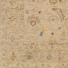 Surya Biscayne BSY-2317 Area Rug Swatch