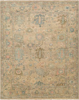 Surya Biscayne BSY-2319 Area Rug main image