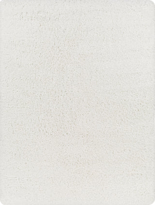 Surya Bogota shag BTG-2300 Area Rug main image