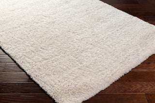 Surya Bogota shag BTG-2301 Area Rug Corner Shot