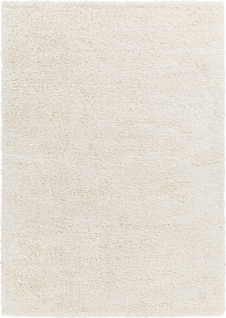 Surya Bogota shag BTG-2301 Area Rug main image