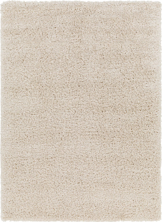 Surya Bogota shag BTG-2302 Area Rug main image