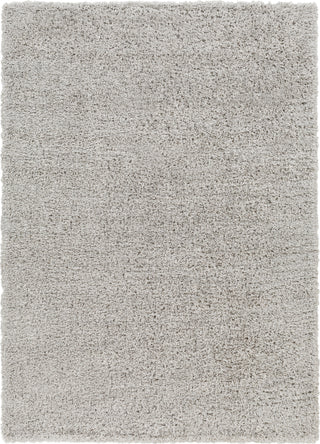 Surya Bogota shag BTG-2303 Area Rug main image