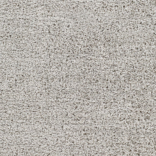 Surya Bogota shag BTG-2303 Area Rug Swatch