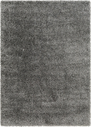 Surya Bogota shag BTG-2304 Area Rug main image