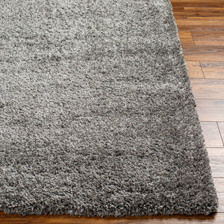 Surya Bogota shag BTG-2304 Area Rug Angle