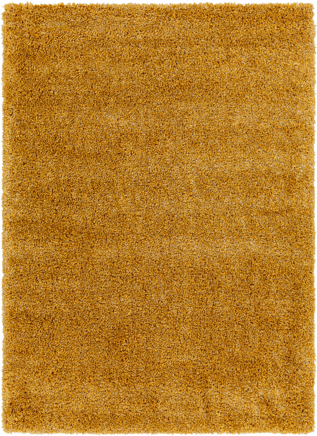 Surya Bogota shag BTG-2305 Area Rug main image